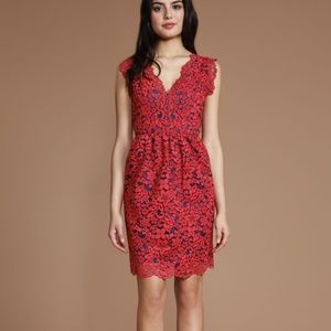Shoshanna Sierra Lace overlay V-neck dress red 6